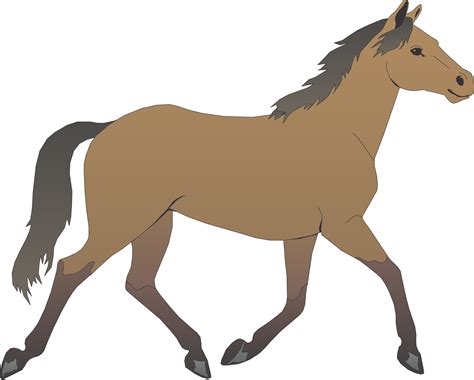 horse cartoon Search